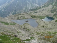 IMG_4461.jpg, 25kB